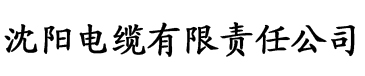 亚洲欧美激情精品一区二区三区电缆厂logo